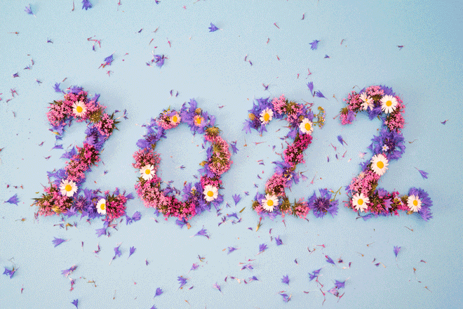 夢御崎ピンクの【2022年上半期のバイオリズム占い】運気の波と幸運日をチェック!