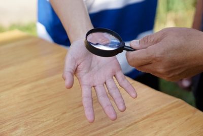 この手相は成功者になれる!?　レアな線「二重運命線」を暮れの酉が伝授