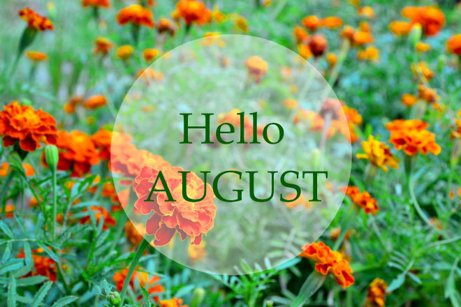 【8月の運勢まとめ】今月の運勢、恋愛運、開運アクションをチェック！