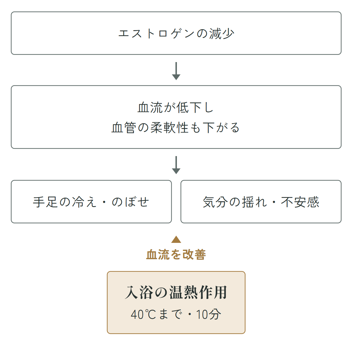 エストロゲンの減少により血流が低下し、血管の柔軟性も下がることで、手足の冷え・のぼせや気分の揺れ・不安感が起こる流れを示した図。入浴の温熱作用（40℃まで・10分）が血流を改善し、これらの不調にアプローチすることを表している。