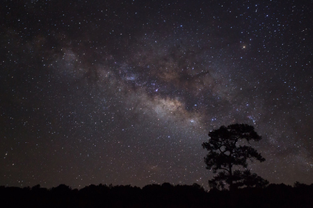 6月27日は蟹座の新月　幸運の星・木星の恩恵と、深い愛情を感じられる日