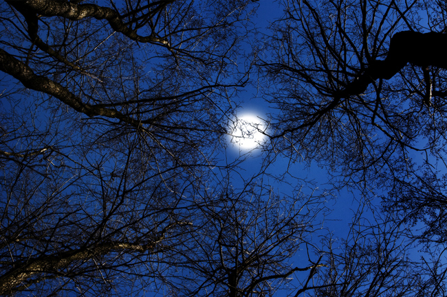 【心理テスト】秋の夜長の過ごし方でわかる心身のお疲れ度