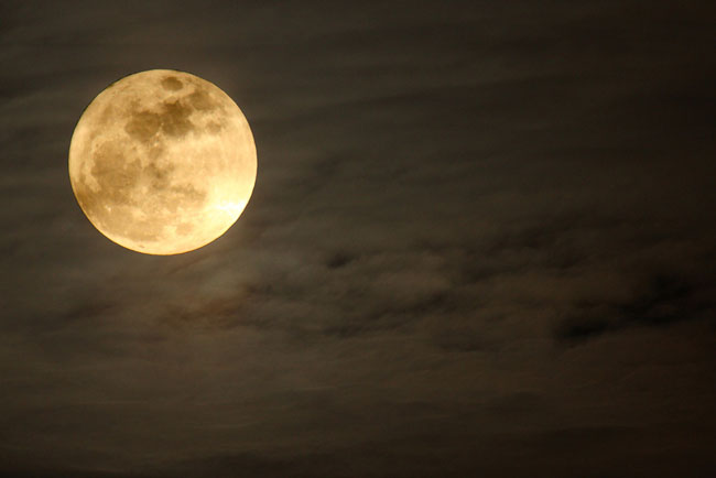 11月7日は牡牛座の満月　頑固さを手放して豊かな富を引き寄せよう！