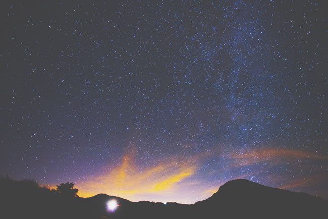 【1月の惑星予報】変化の時を乗り切って、自分らしく自由な時間を楽しもう！