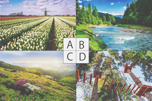 【心理テスト】GWに行きたい場所でわかる、仕事から逃げたい理由