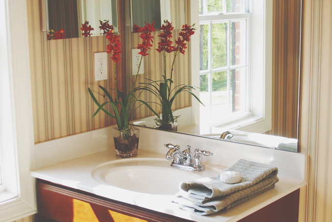 【お掃除風水】洗面所の鏡をピカピカに磨いて美容運アップ！