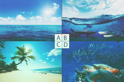 【心理テスト】イメージする“夏の海”は？　答えでわかるあなたの冒険心