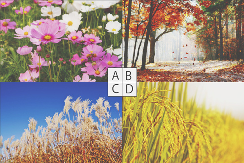 【心理テスト】惹かれる秋の風景でわかる、あなたが飢えていること