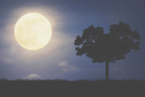 11月26日は双子座の満月　重苦しさを手放して、軽やかな思考を手に入れよう！