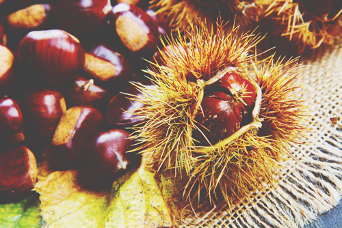 【心理テスト】栗ごはん、きんとん、グラッセ……栗の食べ方でわかる求めているエッチな刺激