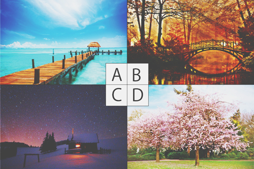 【心理テスト】机に飾りたい写真でわかる、2016年どんな年になるのか