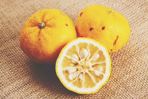 12月22日・冬至のおまじない　ゆずに○○を書いて邪気を払い、エネルギーチャージを！