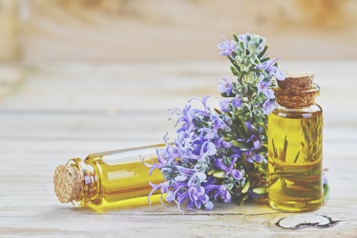 冷え症には「ローズマリー」のアロマ！　アロマバス＆マッサージで血行促進