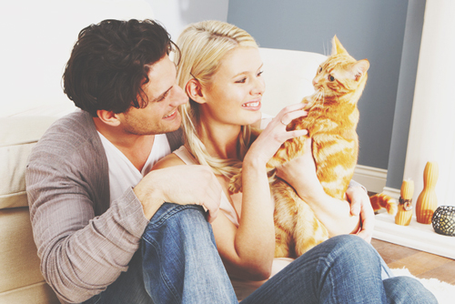 2月22日「猫の日」にちなんだ、12星座別・猫に見習う、彼をメロメロにする方法