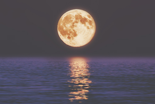 2月23日は乙女座の満月　だらしなさを手放して、なりたい自分へとブランディングを！