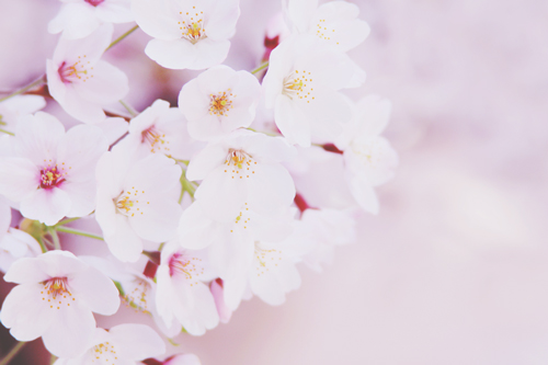 【心理テスト】「入学式」で思い出したことでわかる、あなたの中の優れた感覚