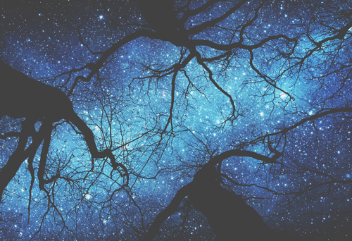 9月1日は乙女座の日食新月　絶大な切り替えパワーで、美しい生活習慣を手に入れよう！