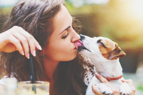 【心理テスト】猫、犬、鳥、爬虫類……行きたい動物カフェでわかる欲しいスキル