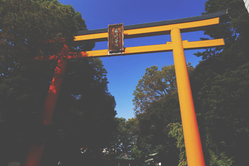 【2017年パワースポット・恋愛＆結婚運】『川越氷川神社』は結婚へ導いてくれる！