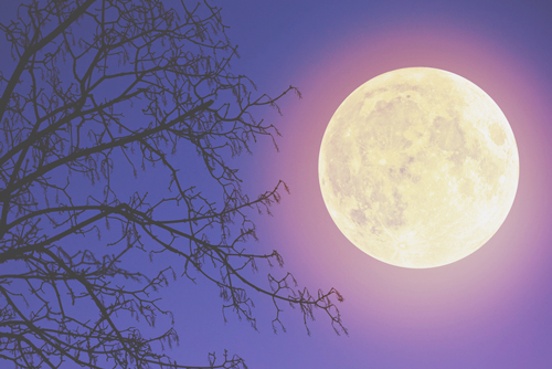 11月14日スーパームーンにやってみたい金運アップのおまじない