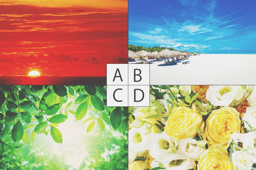 【心理テスト】4枚の写真、部屋に飾りたいのは？　答えでわかる2017年に訪れる幸せ