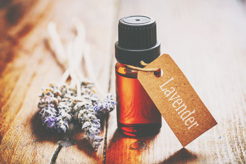 【アロマ占星術】1月20日、太陽が水瓶座へ　テクノロジーとなじむ力をアロマでサポートしよう！