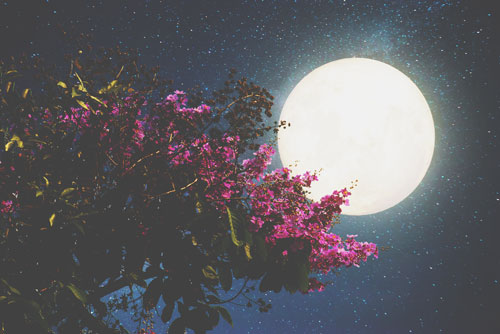 1月12日は蟹座の満月　2017年最初の満月で悪習慣を手放して、心地いい自分になろう！