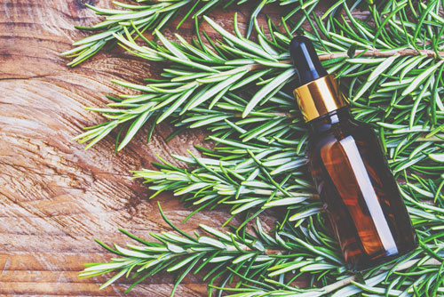 【アロマ占星術】2月18日、太陽が魚座へ　ウェットになりすぎる感情をアロマでサポート！