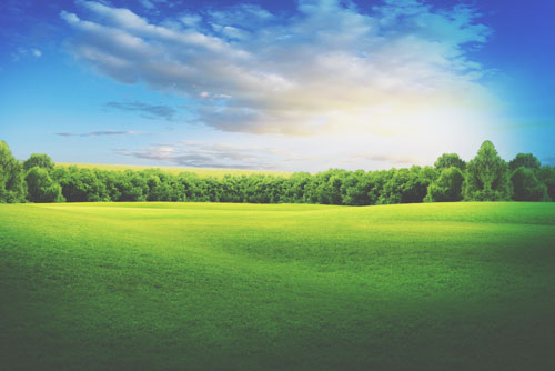 【心理テスト】写真の撮り方でわかる、あなたの友人に対する振る舞い方