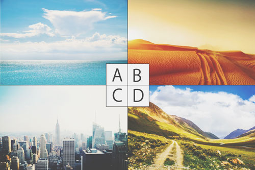 【心理テスト】4枚の風景写真、鳥を描き入れるならどれ？　答えでわかる才能を活かせるジャンル