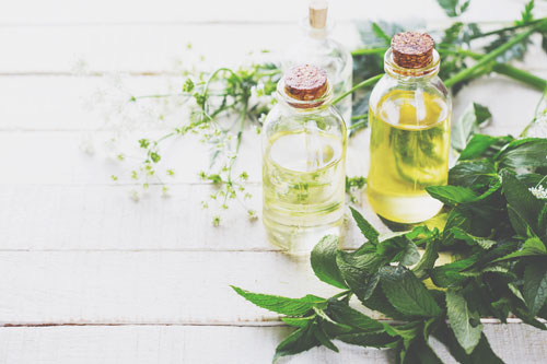 8月23日、太陽が乙女座へ　神経質なイライラをアロマでサポートしよう！