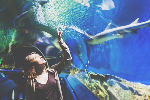 【8月の開運方位】ラッキー方位は「北」、水族館になど涼しげで落ち着ける場所へ出かけよう！