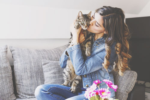 【心理テスト】猫がひざにのってきた、どうする？　答えでわかる男性への依存心