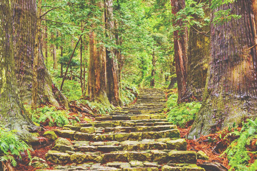 【日本の世界遺産占い】あなたのパワーをチャージしてくれる世界遺産はどこ？