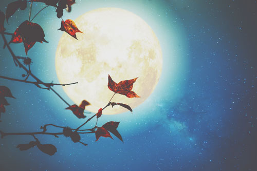 10月6日は牡羊座の満月　気弱さを手放して、恋も仕事も勝ちにいこう！