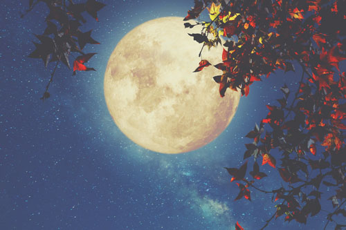 11月4日は牡牛座の満月　お金へのネガティブさを手放して、豊かさを手に入れよう！