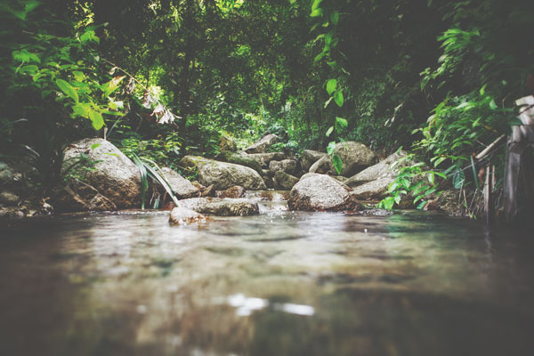 あなたの良心を探る【心理テスト】泉の色、対岸にいる人、呼びかけていることは何？