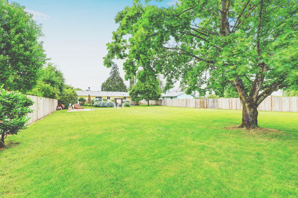 【心理テスト】思い浮かべた「庭」でわかる、あなたの心の広さと交友関係