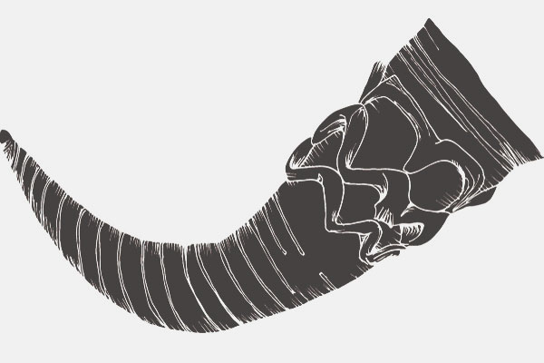 【心理テスト】この絵、何に見える？　答えでわかる恋人ができる時期