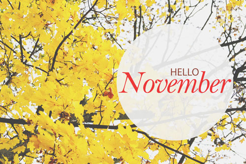 【11月の運勢まとめ】今月の運勢、恋愛運、開運アクションをチェック！