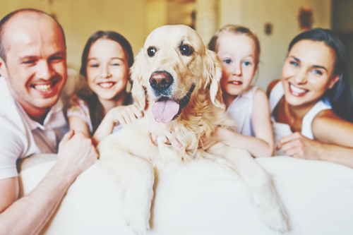 ソフトバンクCM白戸家に新しい家族が登場　新シリーズはヒットなるか？