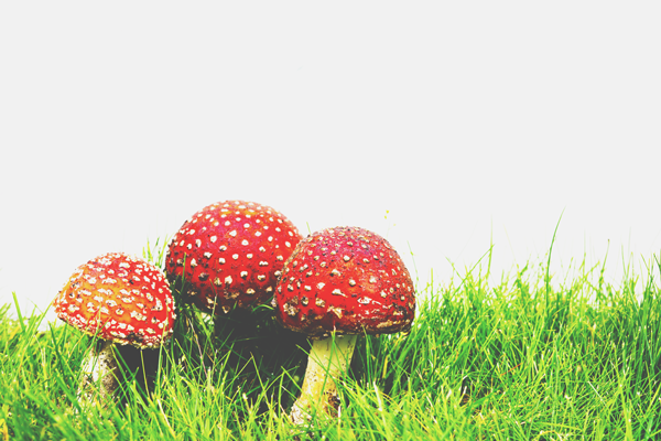 ハリウッド版『スーパーマリオブラザーズ』実現への秘策を占う