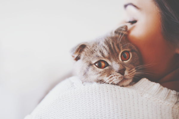 【お悩み相談室】口下手でも恋人はできる！　まずは自分に合った出会いの場を選んで