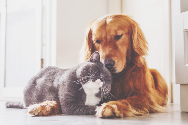 【お悩み相談室】人見知りを克服して恋人が欲しい　話し上手より、引き出しの多さを目指そう