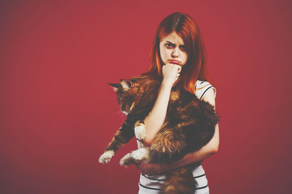 【心理テスト】屋根裏に迷い込んだ猫の様子は？　答えでわかるあなたが直すべき短所