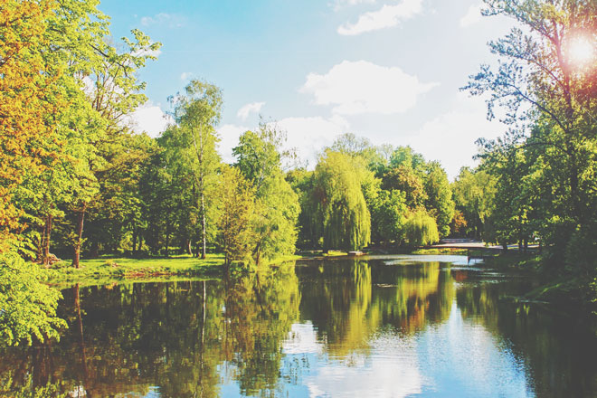【心理テスト】水面に浮かぶ波紋はいくつ？　答えでわかるあなたの影響力
