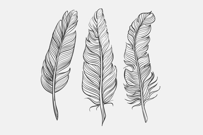 【心理テスト】受け取った羽根の枚数で探る、あなたが自由になるために必要なこと