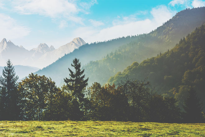 【7月の開運壁紙】恋愛運は「高い山」、仕事運は「屋久杉の森」で運気アップ！