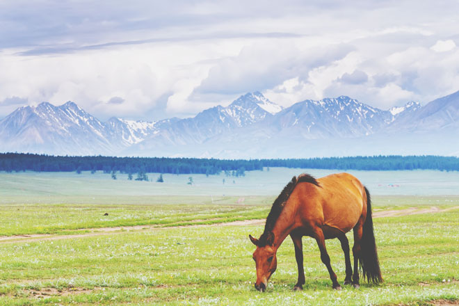 血液型別【魂が求める旅先】B型はモンゴルの大平原、O型は世界のパワースポット！