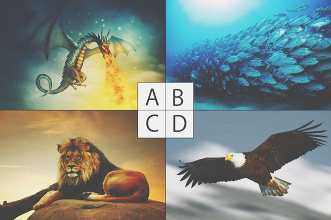 【心理テスト】命を終えるとき導いてもらいたい動物は？　答えでわかるあなたの生き様